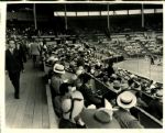 1940s circa Hollywood Park Box Seats (PCL) "The Sporting News Collection Archives" Original 8" x 10" Photo (Sporting News Collection Hologram/MEARS Photo LOA)