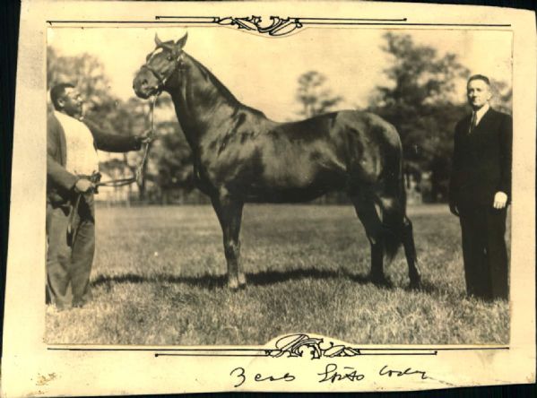 1932 Man o War Racehorse with Arctic Explorer "The Sporting News Collection Archives" Original 5.5" x 7.25" Photo (Sporting News Collection Hologram/MEARS Photo LOA)
