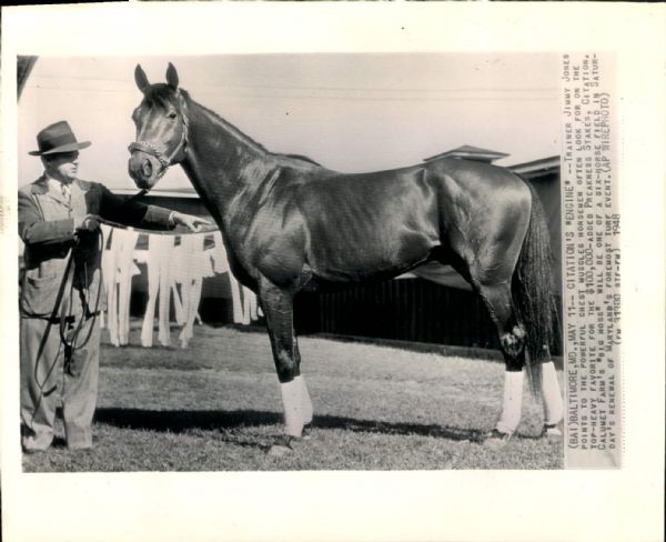 1948 Citation Racehorse "The Sporting News Collection Archives" Original 8" x 10" Photo (Sporting News Collection Hologram/MEARS Photo LOA)