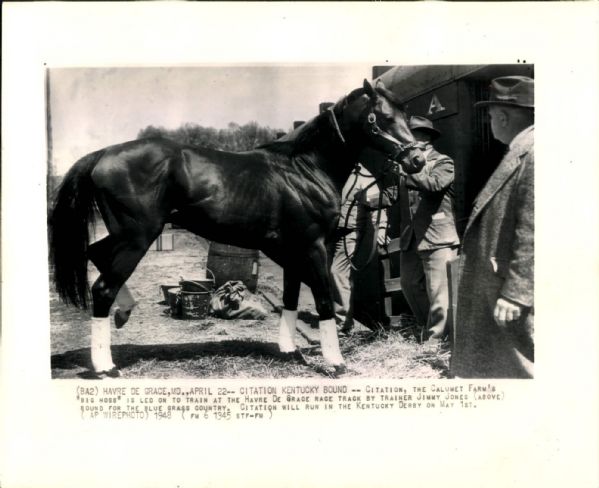 1948 Citation Racehorse "TSN Collection Archives" Original 8" x 10" Photo (Sporting News Collection Hologram/MEARS Photo LOA)