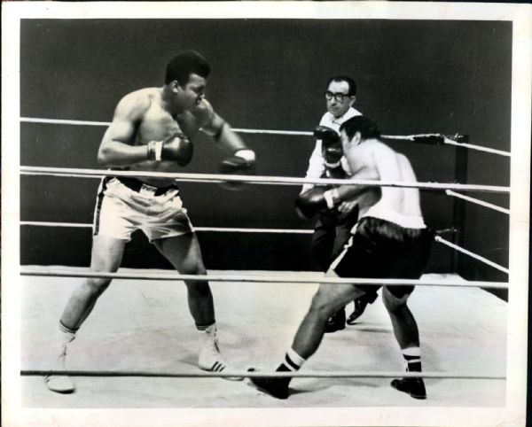 1970 Muhammad Ali vs. Rocky Marciano “St. Petersburg Times” Original 8" x 10" News Photo (“St. Petersburg” Hologram/MEARS LOA) - Lot of 4