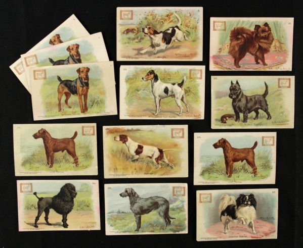 1902 Champion Dog Series Card - Lot of 13 