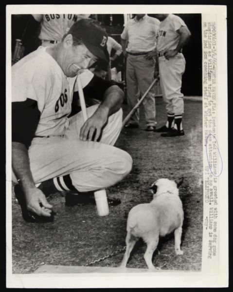 1966 Ted Williams Boston Red Sox Original 7"x 9" Photo