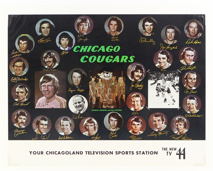 1972-75 Chicago Cougars WHA 17" x 22" Facsimile Signed Team Photo Poster