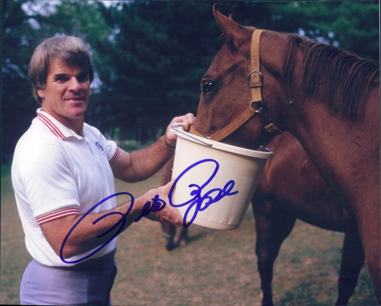 Pete Rose Feeding a Horse Autographed Colored 8x10 Photo (JSA)