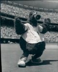 1978-93 Phillies Phanatic The Sporting News Collection Archives Original Type 1 Photo (Sporting News Collection Hologram/MEARS Type 1 Photo LOA) - Lot of 12
