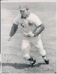1969 Johnny Bench Cincinnati Reds "The Sporting News Collection Archives" Original Type 1 8"x10" Photo (Sporting News Collection Hologram/MEARS Type 1 Photo LOA)