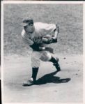 1953 Robin Roberts Philadelphia Phillies "The Sporting News Collection Archives" Original Type 1 8"x10" Photo (Sporting News Collection Hologram/MEARS Type 1 Photo LOA)