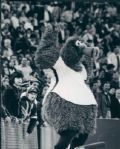 1978-93 Phillies Phanatic The Sporting News Collection Archives Original Type 1 Photo (Sporting News Collection Hologram/MEARS Type 1 Photo LOA) - Lot of 12