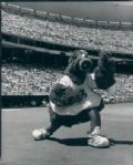 1978-93 Phillies Phanatic The Sporting News Collection Archives Original Type 1 Photo (Sporting News Collection Hologram/MEARS Type 1 Photo LOA) - Lot of 12