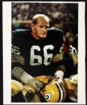 Ray Nitschke Green Bay Packers Signed 8 x 10 Photo - Lot of 3 - JSA