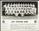 1967 Chicago Cubs Team Photo 