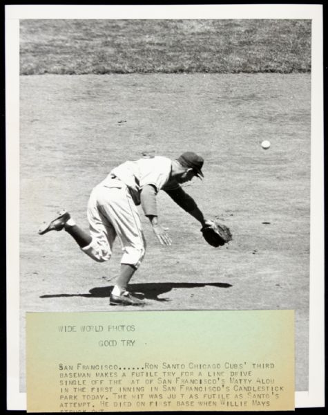 1961 Ron Santo Chicago Cubs SPORT Magazine Archive Collection Type 1 7" x 9" Photo (MEARS Type 1 LOA)