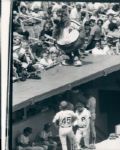 1978-93 Phillies Phanatic The Sporting News Collection Archives Original Type 1 Photo (Sporting News Collection Hologram/MEARS Type 1 Photo LOA) - Lot of 12