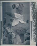 1978-93 Phillies Phanatic The Sporting News Collection Archives Original Type 1 Photo (Sporting News Collection Hologram/MEARS Type 1 Photo LOA) - Lot of 12