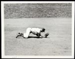 1961 Ron Santo Chicago Cubs SPORT Magazine Archive Collection Type 1 7" x 9" Photo (MEARS Type 1 LOA)
