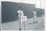1953-65 Milwaukee Braves Cards - Lot of 242 (176 Signed) w/ Duplicates Incl. Warren Spahn Bob Hazle Joe Adcock Lou Burdette Billy Herman - JSA