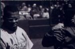 1950-65 Various Baseball 4 x 6 Photo with negatives - Milwaukee Braves St. Louis Cardinals Detroit Tigers Baltimore Orioles NY Yankees Cincinnati Reds - Lot of 161 