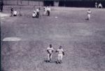 1953-65 Milwaukee Braves 4 x 6 Photo - Lot of 189