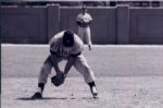 1950-65 Various Baseball 4 x 6 Photo with negatives - Milwaukee Braves St. Louis Cardinals Detroit Tigers Baltimore Orioles NY Yankees Cincinnati Reds - Lot of 161 