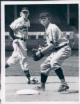 1950-78 Baseball Uniforms The Sporting News Collection Archives Original Type 1 8 x 10 Photo (Sporting News Collection Hologram/MEARS Type 1 Photo LOA) - Lot of 19