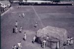 1953-65 Milwaukee Braves 4 x 6 Photo - Lot of 189
