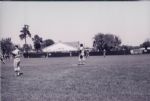 1953-65 Milwaukee Braves 4 x 6 Photo - Lot of 189