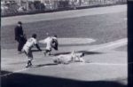 1950-65 Various Baseball 4 x 6 Photo with negatives - Milwaukee Braves St. Louis Cardinals Detroit Tigers Baltimore Orioles NY Yankees Cincinnati Reds - Lot of 161 