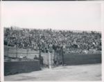 1947-59 Boston Braves Field The Sporting News Collection Archives Original Type 1 Photo - Lot of 14 (Sporting News Collection Hologram/MEARS Type 1 Photo LOA)