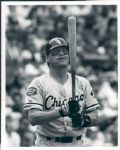 1981-92 Carlton Fisk Chicago White Sox The Sporting News Collection Archives Original Type 1 8 x 10 Photo (Sporting News Collection Hologram/MEARS Type 1 Photo LOA) - Lot of 10