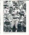1982-84 Carlton Fisk Chicago White Sox The Sporting News Collection Archives Original Type 1 8 x 10 Production (Sporting News Collection Hologram/MEARS Type 1 Photo LOA) - Lot of 3