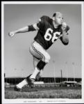 1960s Ray Nitschke Green Bay Packers Team-Issued Photo - Lot of 6 