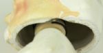 1960s Iconic Colonel Sanders Kentucky Fried Chicken Advertising Bobbing Head  Nodder 