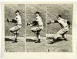 1953-65 Milwaukee Braves Photo Collection - Lot of 12 With Burdette Hank Aaron Warren Spahn Joe Torre 