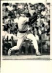 1978-92 Paul Molitor Milwaukee Brewers The Sporting News Collection Archives Original Type 1 Photo (Sporting News Collection Hologram/MEARS Type 1 Photo LOA) - Lot of 7