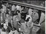 1950 PCL San Francisco Seals Free Baseball Giveaway "TSN Collection Archives" Original Type 1 12" x 8 3/4" Choice Jumbo Oversized Photo (TSN Collection Hologram/MEARS Photo LOA) 1:1, Unique