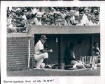 1946-70 Leo Durocher Dodgers & Cubs The Sporting News Collection Archives Original Type 1 Photo - Lot of 14 (Sporting News Collection Hologram/MEARS Type 1 Photo LOA)