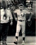 1950s to 1990s Assorted Baseball Photos Chicago Sun-Times Original Type 1 Photos (MEARS Type 1 Photo LOA) - Lot of 220