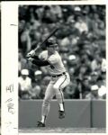 1992 Cal Ripken Jr Baltimore Orioles The Sporting News Collection Archives Original Type 1 8 x 10 Photo (Sporting News Collection Hologram/MEARS Type 1 Photo LOA) - Lot of 3