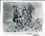 1920s to 1990s Miscellaneous Movies The Denver Post Original Type 1 Photos (MEARS Type 1 Photo LOA) - Lot of 600 