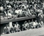 1970-94 Milwaukee Brewers The Sporting News Collection Archives Original Type 1 8 x 10 Photo (Sporting News Collection Hologram/MEARS Type 1 Photo LOA) - Lot of 12