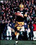 1950s-1990s Green Bay Packers Signed 8 x 10 Photo - Lot of 41 - JSA w/ Ron Kramer Bob Jeter Tony Canadeo Dave Robinson