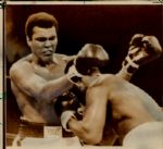 1967-75 Muhammad Ali Chicago Sun-Times Original Type 1 Laser Photo - Lot of 56  (Sun Times Hologram/MEARS Type 1 Photo LOA)