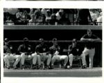 1970-94 Milwaukee Brewers The Sporting News Collection Archives Original Type 1 8 x 10 Photo (Sporting News Collection Hologram/MEARS Type 1 Photo LOA) - Lot of 12