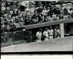1970-94 Milwaukee Brewers The Sporting News Collection Archives Original Type 1 8 x 10 Photo (Sporting News Collection Hologram/MEARS Type 1 Photo LOA) - Lot of 12