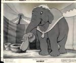 1940s to 1990s Disney Movies The Denver Post Original Photos (MEARS Photo LOA) - Lot of 100