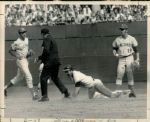 1970 World Series Reds vs. Orioles The Sporting News Collection Archives Original Type 1 Photo (Sporting News Collection Hologram/MEARS Type 1 Photo LOA) - Lot of 44