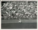 1953 World Series New York Yankees Brooklyn Dodgers The Sporting News Collection Archives Original Type 1 Photos (Sporting News Collection Hologram/MEARS Type 1 Photo LOA) - Lot of 6