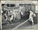 1977 World Series New York Yankees vs. Los Angeles Dodgers The Sporting News Collection Archives Original Type 1 Photo (Sporting News Collection Hologram/MEARS Type 1 Photo LOA) - Lot of 13