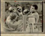 1967-75 Muhammad Ali Chicago Sun-Times Original Type 1 Laser Photo - Lot of 56  (Sun Times Hologram/MEARS Type 1 Photo LOA)